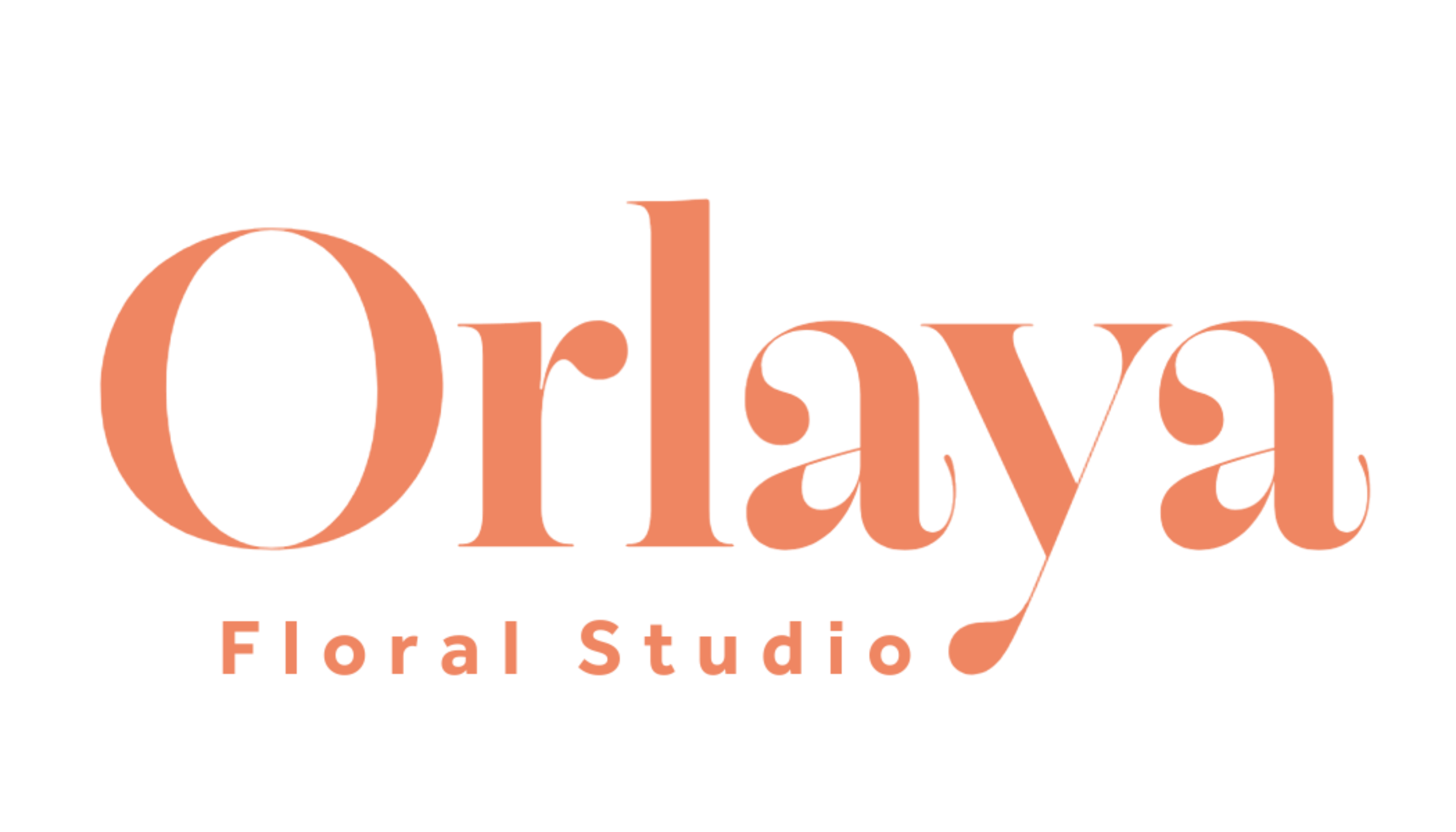 Orlaya